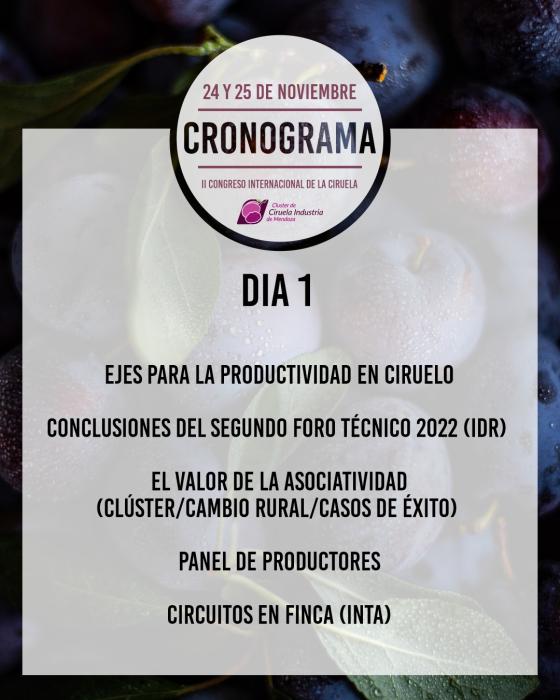 https://www.ciruelasargentinas.org/imagenes/11_congreso_ciruela_dia_1.jpeg