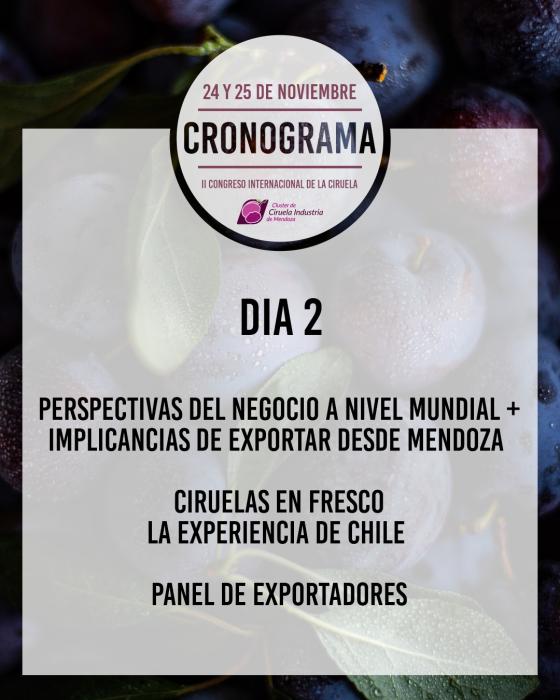 https://www.ciruelasargentinas.org/imagenes/11_congreso_ciruela_dia_2.jpeg