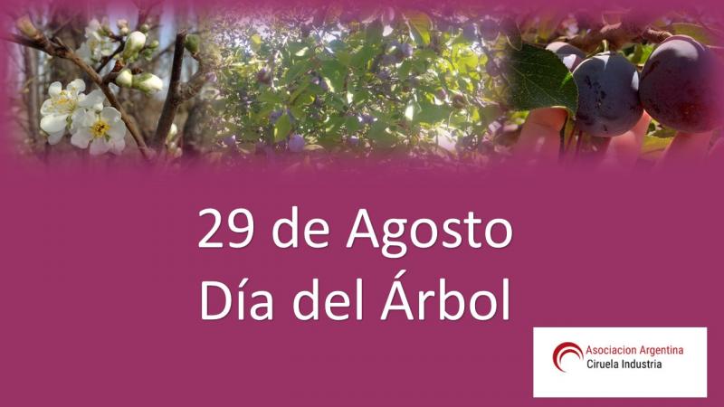 Día del árbol