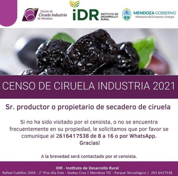 Censo ciruela industria 2021