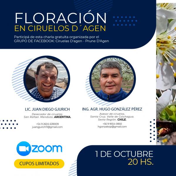 Floración de ciruelos dagen