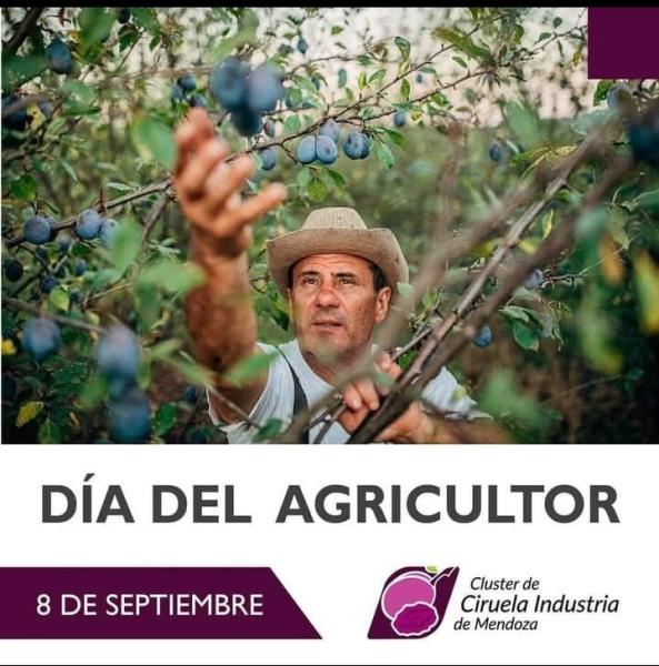 Dia del Agricultor