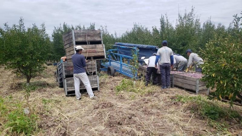 Programa de sostenimiento a las labores agrícolas y rurales (SOLAR)