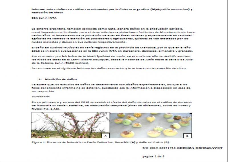 Informe del INTA