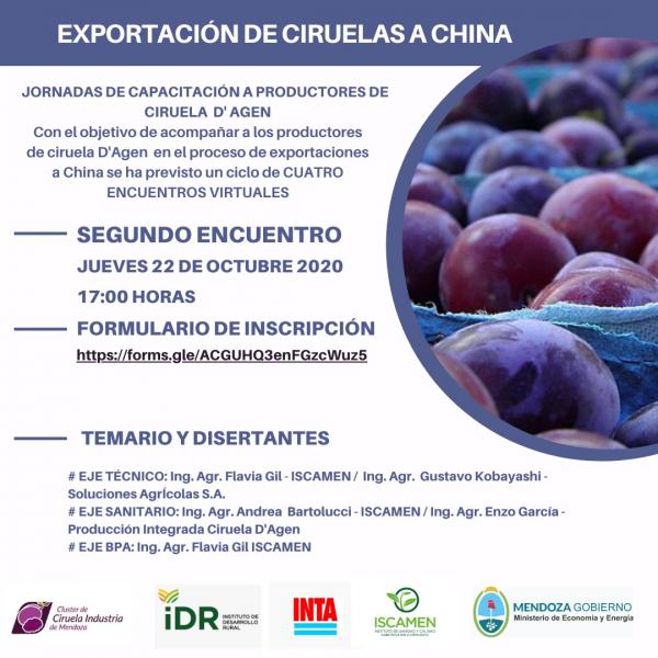 Exportación de ciruelas a China