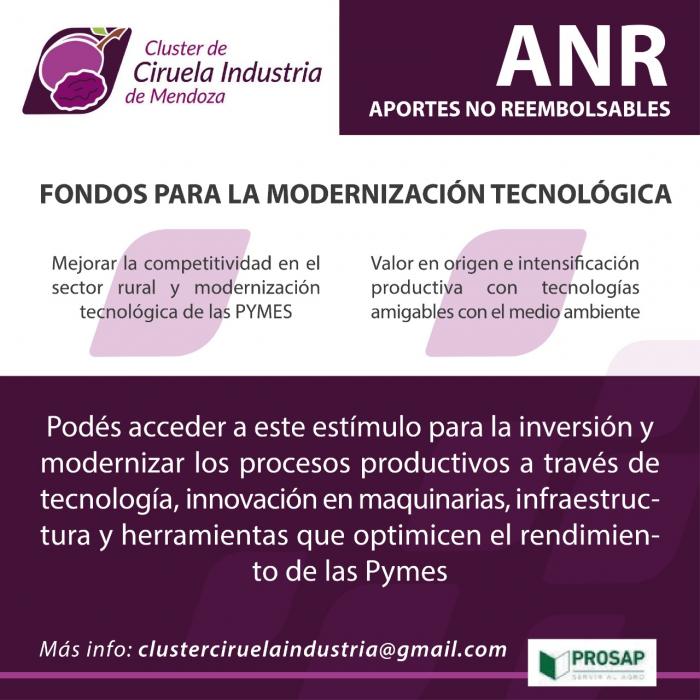 https://www.ciruelasargentinas.org/imagenes/Flyer_Promocin_ANRs_1_1.jpg