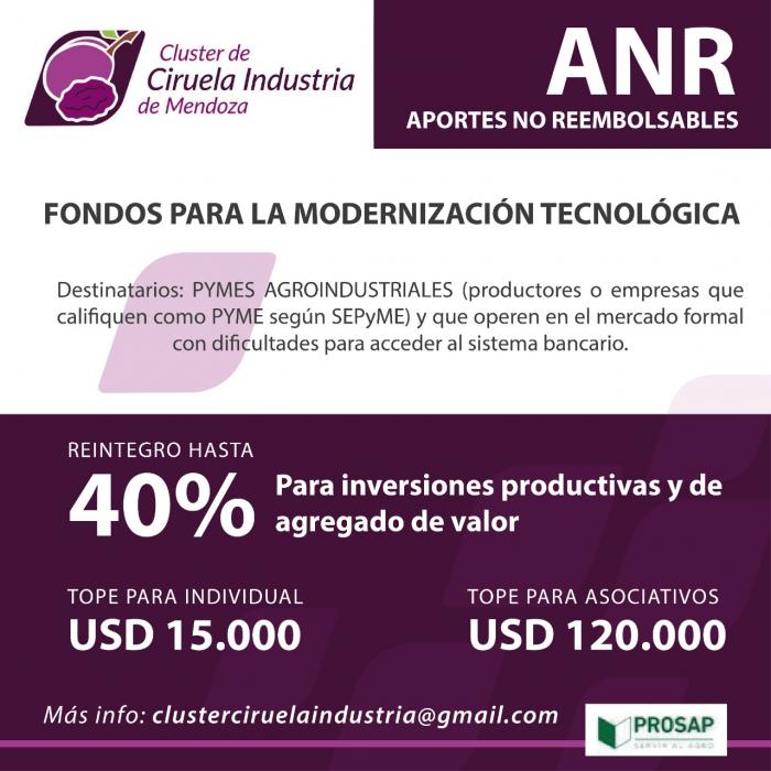 https://www.ciruelasargentinas.org/imagenes/Flyer_Promocin_ANRs_2_1.jpg