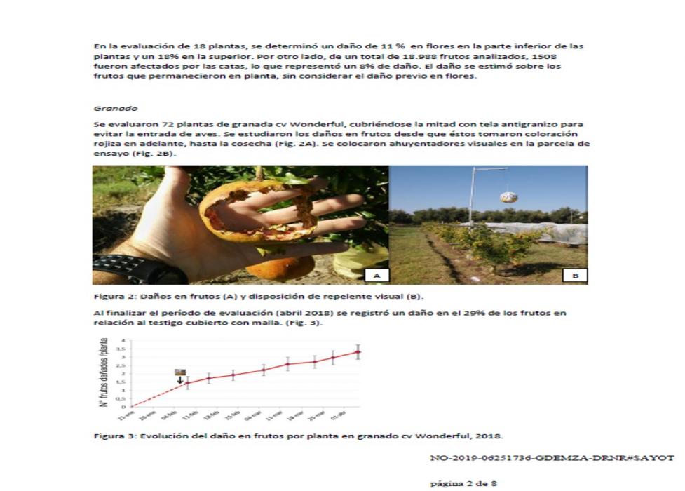 https://www.ciruelasargentinas.org/imagenes/Informe_catas_INTA_Junn_nov2019_2.jpg