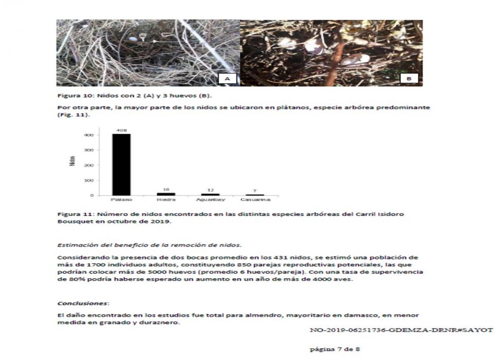 https://www.ciruelasargentinas.org/imagenes/Informe_catas_INTA_Junn_nov2019_7.jpg